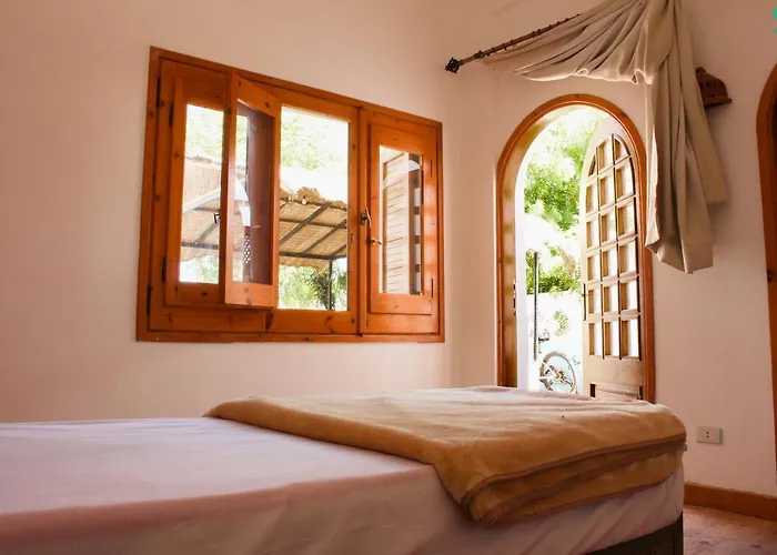 Koala Hub Hotel *