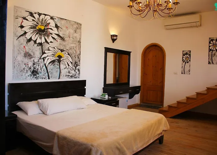 Koala Hub Hotel *
