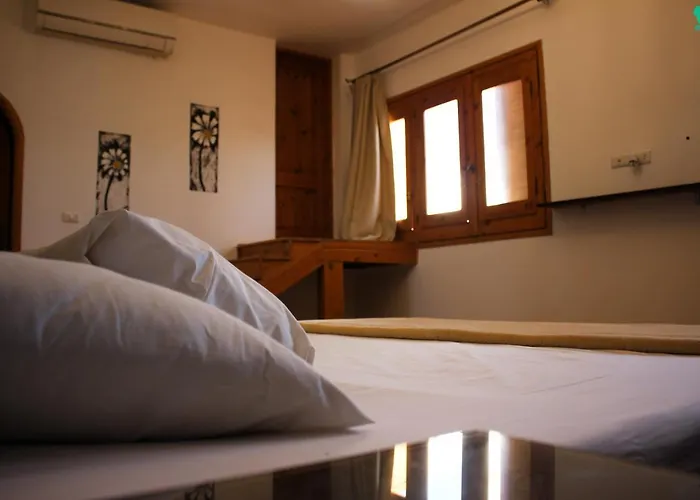 Koala Hub * Dahab
